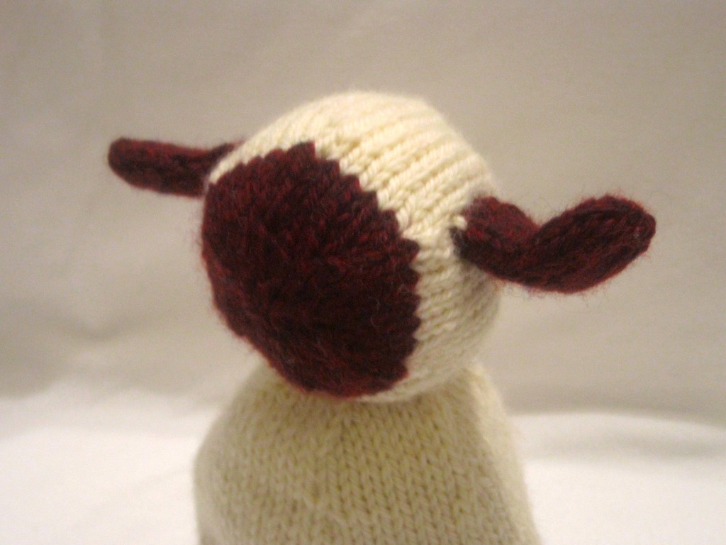 Lamb's Face